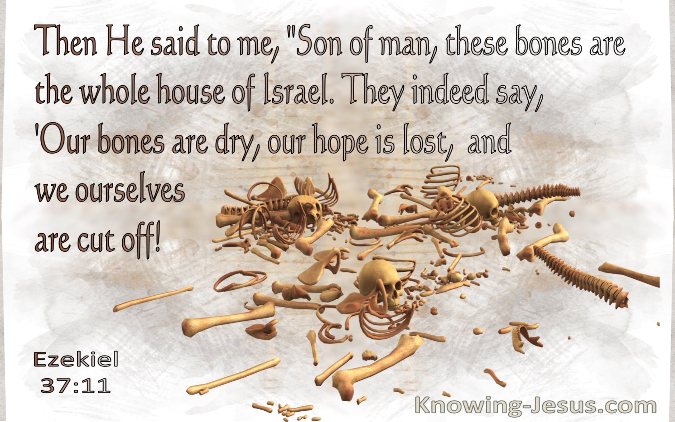 Ezekiel 37:11 Son Of Man These Bones Are The Whole House Of Israel (gray)